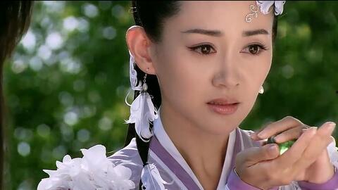 天涯爆料燕南飞视频,燕南飞视频揭秘，真相背后引人深思  第2张